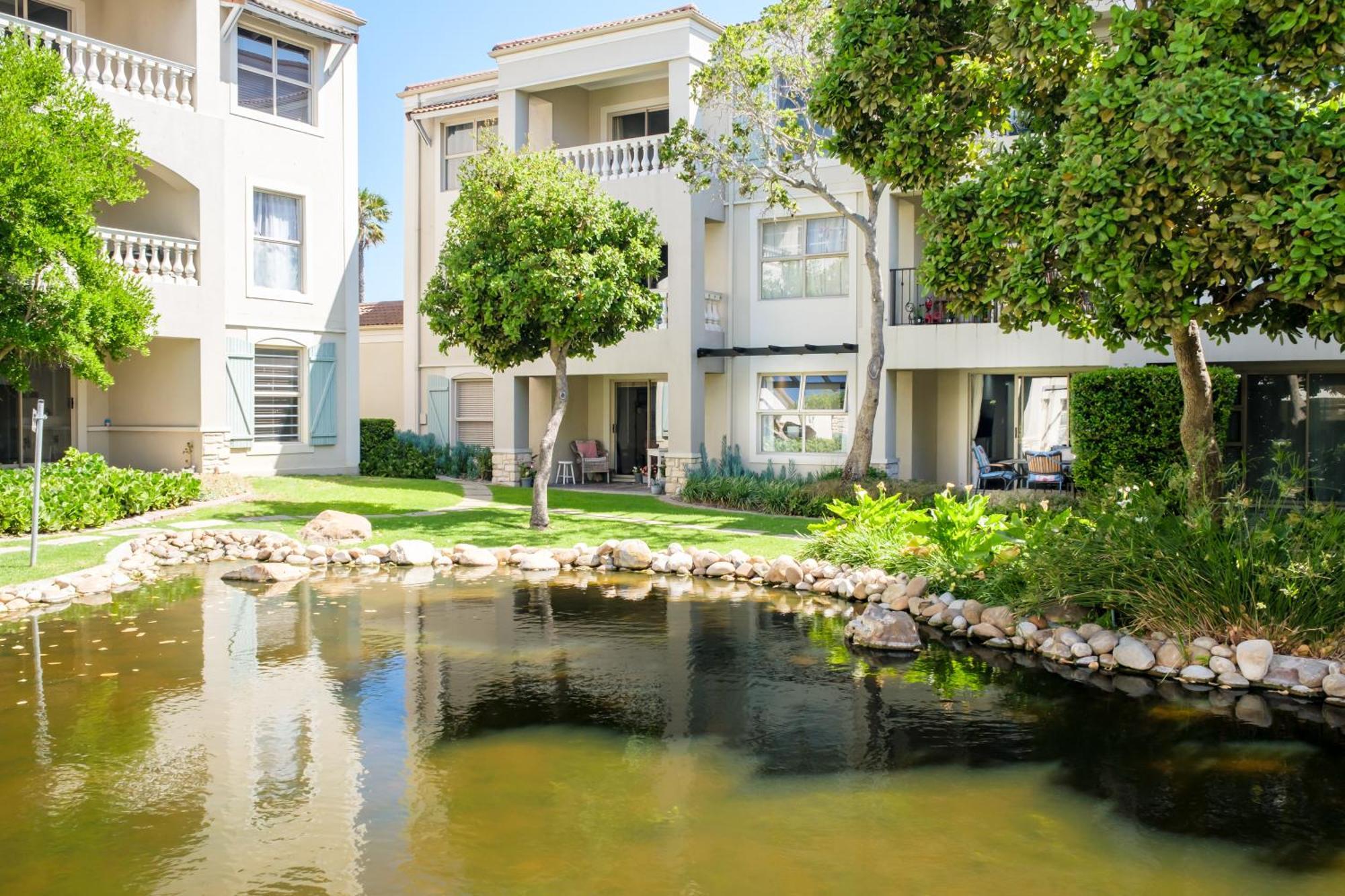 Belina - Bougain Premier Cape Town